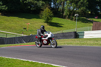 Vintage-motorcycle-club;eventdigitalimages;mallory-park;mallory-park-trackday-photographs;no-limits-trackdays;peter-wileman-photography;trackday-digital-images;trackday-photos;vmcc-festival-1000-bikes-photographs